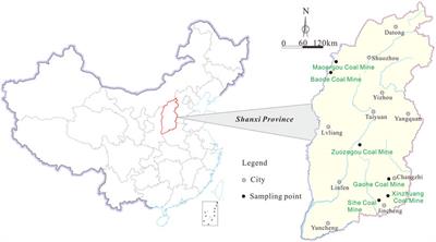 Characterization of Full Pore and Stress Compression Response of Reservoirs With Different Coal Ranks